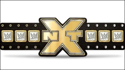 Qui a été le premier champion NXT ?