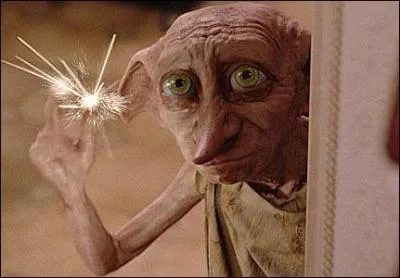 Comment aide-t-il Harry dans le Tournoi des Trois Sorciers ?