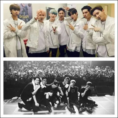 Quel est le nom du fan-club des MX ?