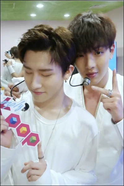 Dans "Monsta X Ray" saison 2, de quelle espèce d'animal vont s'occuper Shownu et I.M ?