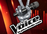 Quiz The Voice : La Plus Belle Voix