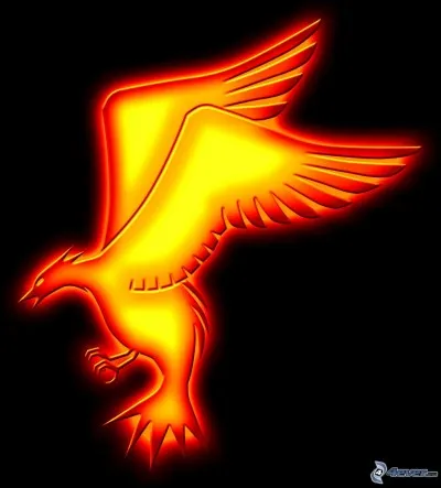 Quel est ton défaut ?