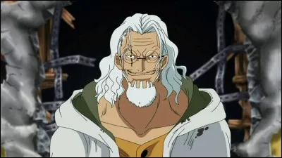 Rayleigh est le roi des pirates.