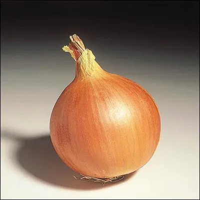 Et de l'oignon ?