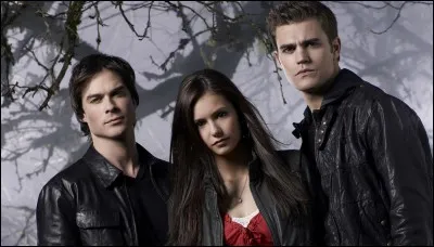 Quelle est la série ?