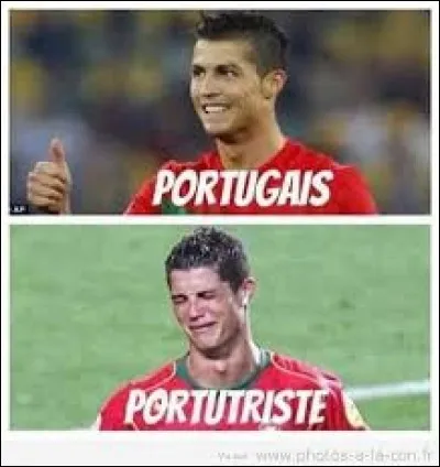 Qu'est-ce qui est petit, poilu, et qui roucoule au fond d'un garage ?