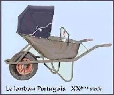 Quelles sont les lettres préférées des Portugais ? (avec l'accent)