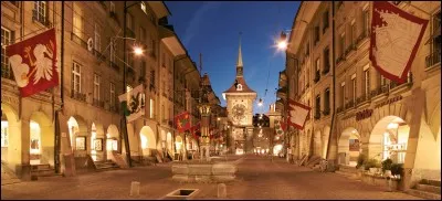 Berne est la capitale de l'Allemagne.