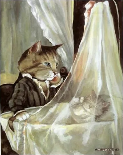 Dans quoi dort le chaton ?