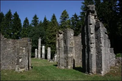 Dans la Meuse, cette commune de 5 habitants est classée "ville morte" car elle fait partie de la liste des villages français détruits durant la Première Guerre mondiale.