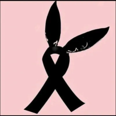 Dans quelle ville a eu lieu l'attentat lors du concert d'Ariana ?