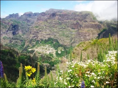 Selon les arts de la table, où doit-on placer la cuillère à dessert ?