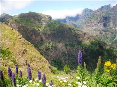 Au sens figuré, que désigne un dessous-de-table ?