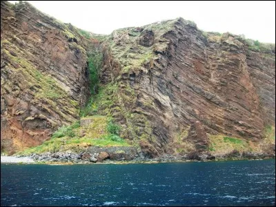 Dans la mythologie grecque, Tantale fut envoyé en enfer et condamné à avoir éternellement faim sans pouvoir atteindre la succulente nourriture qu'il aperçoit. Que servit-il à manger aux dieux pour mériter un tel supplice ?