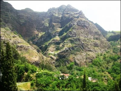 Au tennis de table, quel animal donne son nom à une manière de tenir sa palette ?