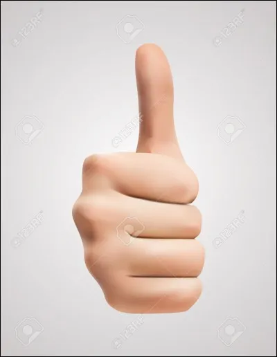 Quel est le type le plus puissant ?