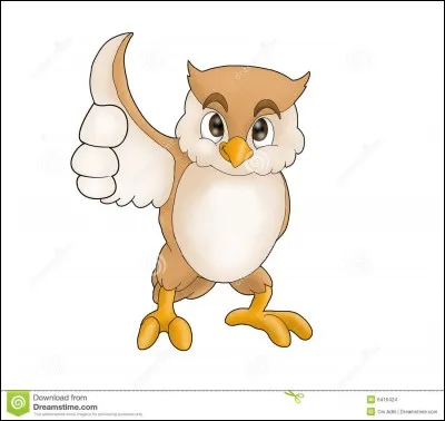 Quelle est ta principale qualité ?