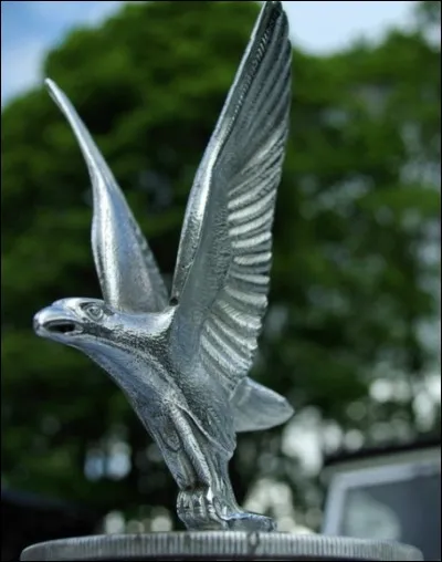 J'ornais le radiateur de quelle marque ?