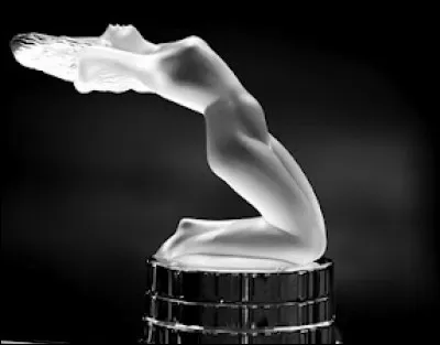 J'ornais le radiateur de quelle marque ?