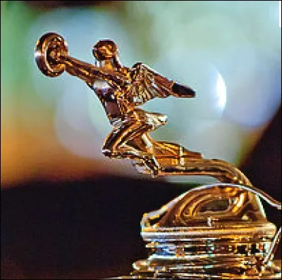 J'ornais le radiateur de quelle marque ?