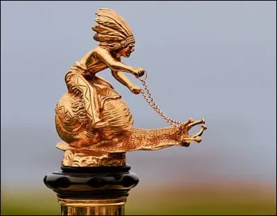 J'ornais le radiateur de quelle marque ?