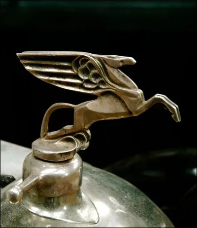 J'ornais le radiateur de quelle marque ?