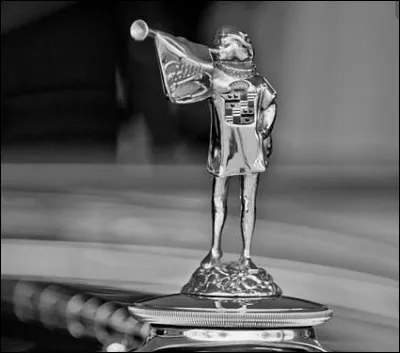 J'ornais le radiateur de quelle marque ?