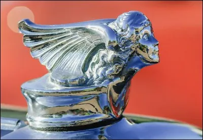 J'ornais le radiateur de quelle marque ?