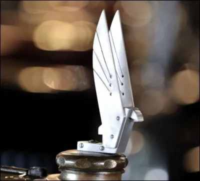 J'ornais le radiateur de quelle marque ?