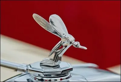 J'ornais le radiateur de quelle marque ?