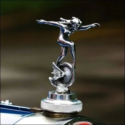 J'ornais le radiateur de quelle marque ?