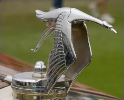 J'ornais le radiateur de quelle marque ?