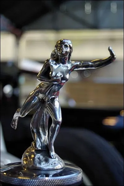 J'ornais le radiateur de quelle marque ?