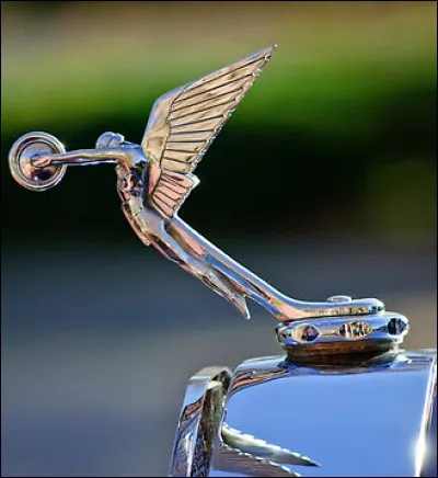 J'ornais le radiateur de quelle marque ?