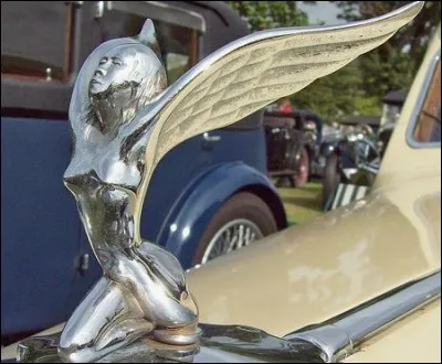 J'ornais le radiateur de quelle marque ?