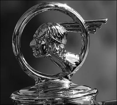 J'ornais le radiateur de quelle marque ?