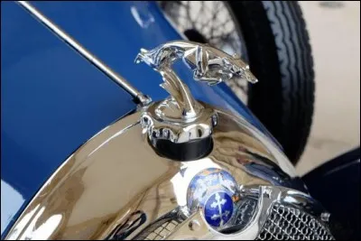 J'ornais le radiateur de quelle marque ?