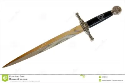 Qui l'a véritablement tué ?