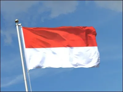 Je dirais que c'est Monaco.
C'est également le drapeau de :