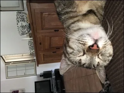 Combien de vidéos a-t-il/elle faites ?