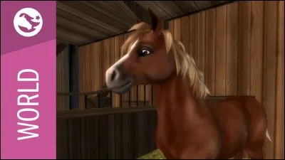 Quelle est cette race ?