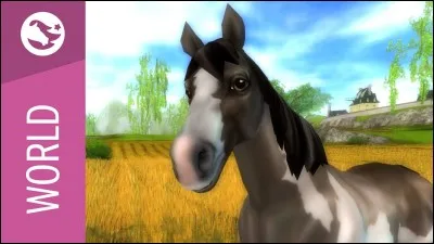 Quelle est cette race qu'on peut trouver chez Marley ?