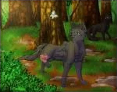 Tu deviens guerrier. Mais un accident t'arrive et tu es obligé de devenir guérisseur.