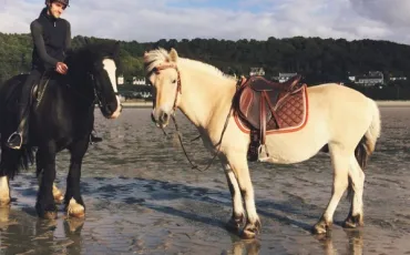 Quiz Galop 2