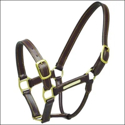 Comment se nomme cet harnachement ?