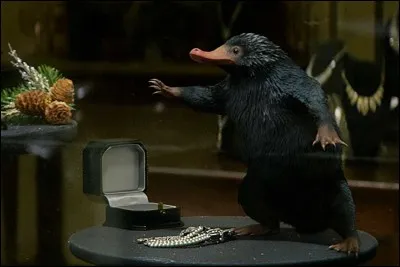 Quel est ton animal préféré ?