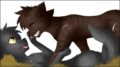 Qui ont été les amours d'Étoile de Feu ?