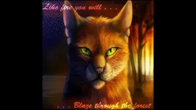 Comment Étoile de Feu est-il mort ?