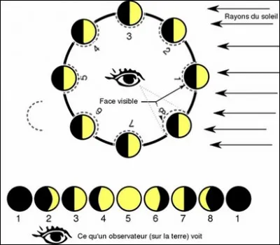 Comment se nomme la partie '5' ?