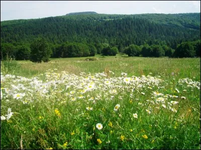 L'Ardèche possède la préfecture la moins peuplée de France métropolitaine avec environ 8 000 habitants. Quelle est cette ville ?